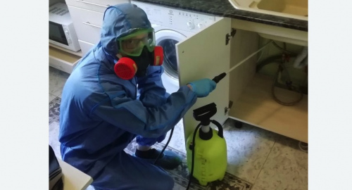 Уничтожение муравьев в квартире. Прокудское