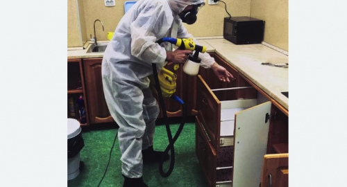 Уничтожение насекомых в квартире. Прокудское