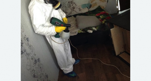 Обработка квартир от насекомых Прокудское