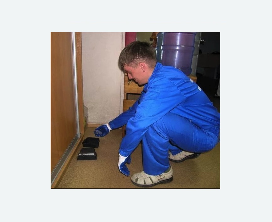 Дератизация крыс Прокудское