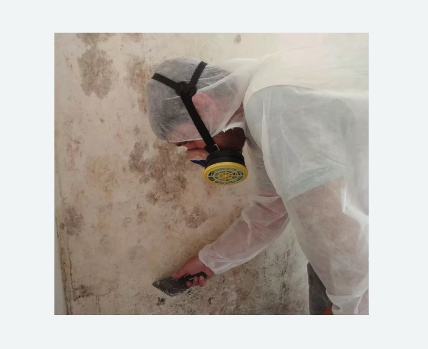Обработка стен от плесени Прокудское