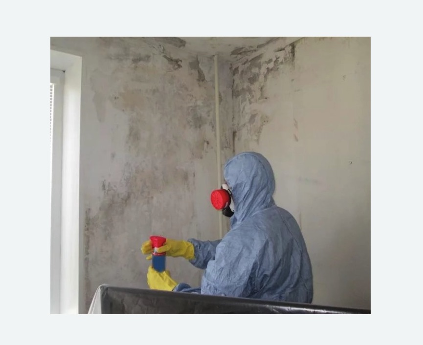 Удаление плесени в квартире Прокудское