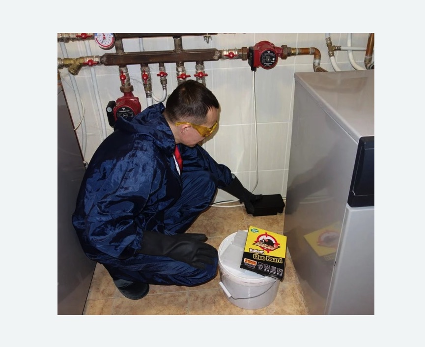 Уничтожение крыс Прокудское