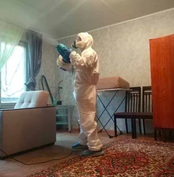 дезинсекция квартиры Прокудское
