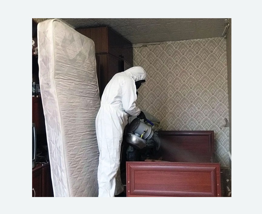 дезинфекция от клопов Прокудское