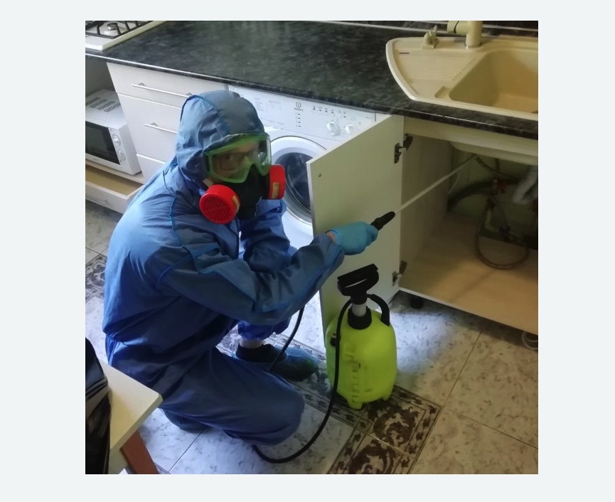 обработка от муравьев в квартире Прокудское