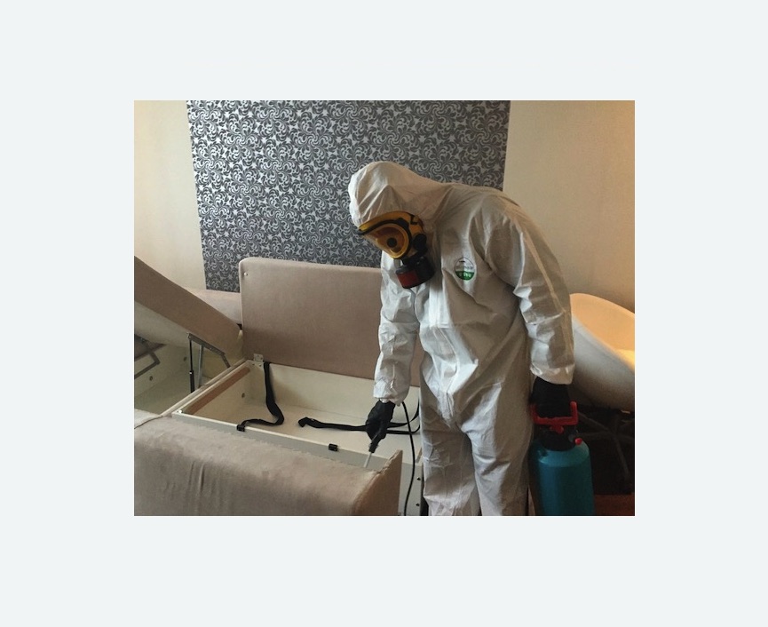 уничтожение клопов в квартире Прокудское