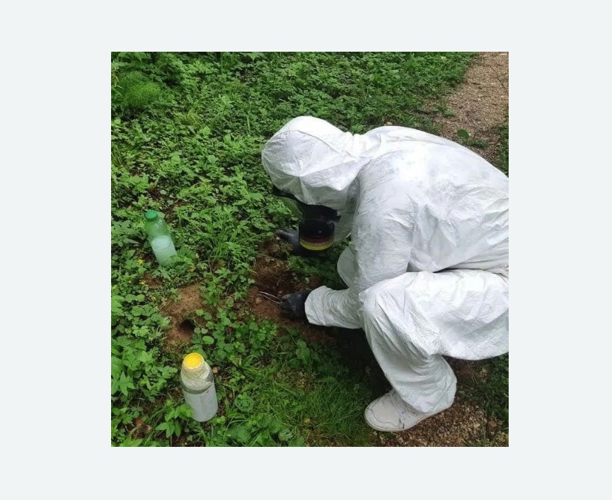 уничтожение кротов на участке Прокудское