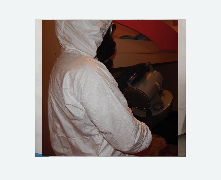 Дезинфекция от муравьев Прокудское