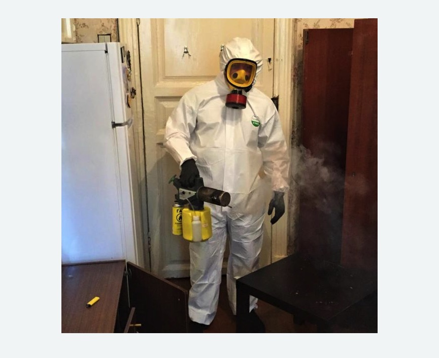 уничтожение муравьев в квартире Прокудское